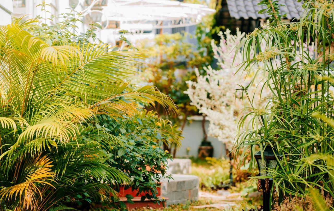 Window Homestay Kon Tum Luaran gambar