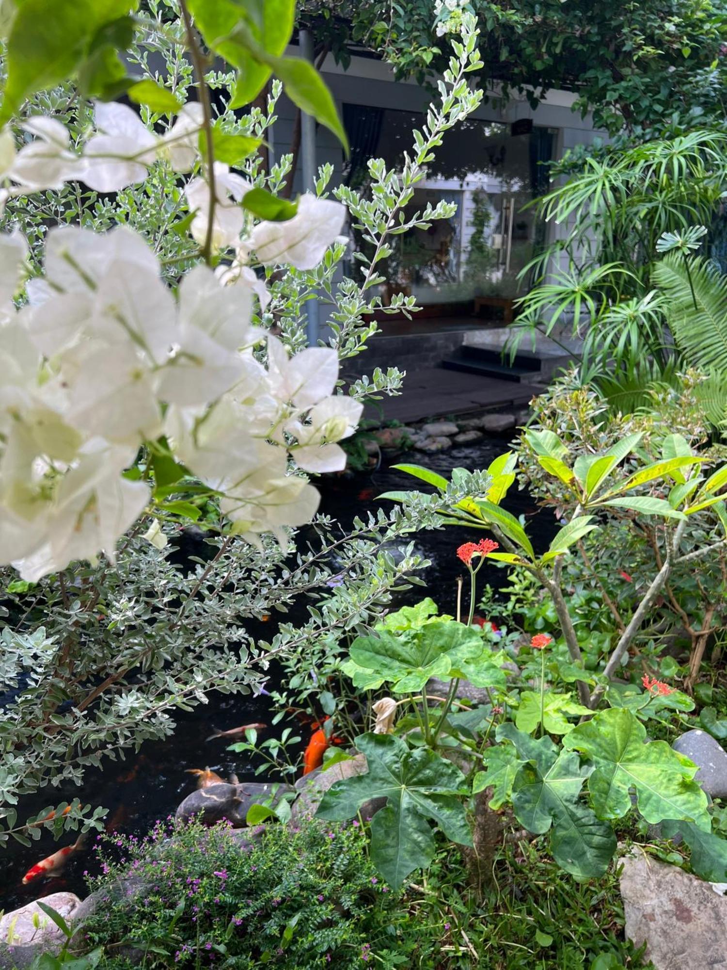 Window Homestay Kon Tum Luaran gambar